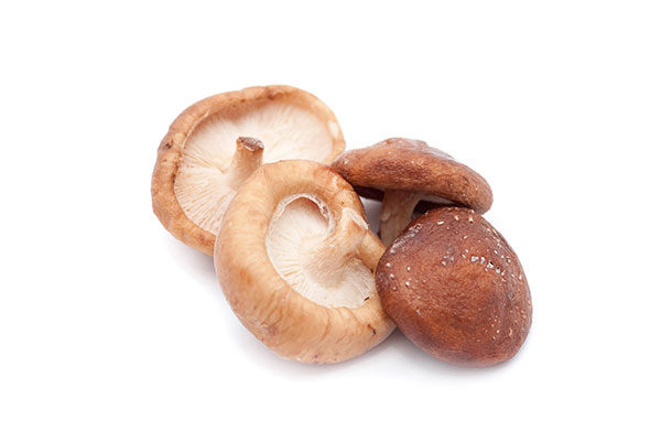 DIY: HOW TO GROW SHIITAKE MUSHROOMS IN YOUR OWN KITCHEN GARDEN